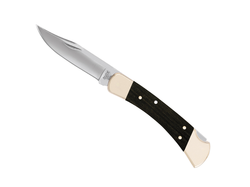 Couteau Buck 110 Hunter - manche 12,5 cm ébène
