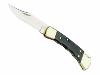 Couteau Buck 110 Hunter - manche 12,5 cm ébène